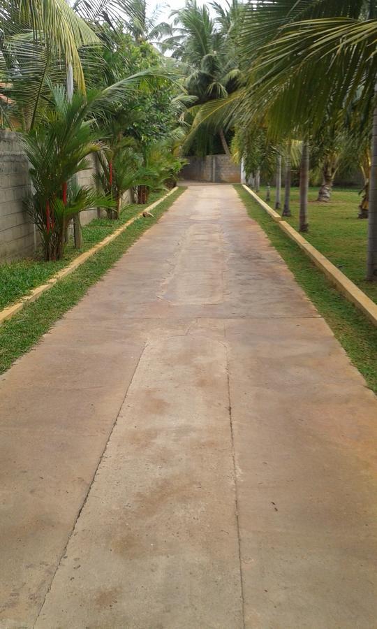 Grand Hilton Hotel Negombo Zewnętrze zdjęcie